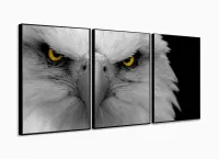 Quadro Decorativo Aguia 120x60 3 peças  em tecido com moldura filete - Foto 3