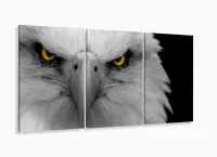 Quadro Decorativo Aguia 120x60 3 peças  em tecido com moldura filete - Foto 5