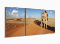 Quadro Decorativo Animais Deserto 120x60 com moldura filete