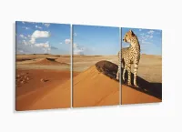 Quadro Decorativo Animais Deserto 120x60 com moldura filete - Foto 5