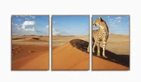 Quadro Decorativo Animais Deserto 120x60 com moldura filete - Foto 6