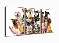 Quadro Decorativo Cães E Gatos Pets Hd 120x60  Quarto Sala com moldura filete - Foto 2