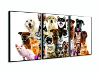 Quadro Decorativo Cães E Gatos Pets Hd 120x60  Quarto Sala com moldura filete - Foto 3