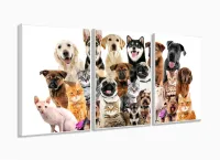 Quadro Decorativo Cães E Gatos Pets Hd 120x60  Quarto Sala com moldura filete - Foto 4