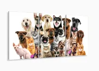 Quadro Decorativo Cães E Gatos Pets Hd 120x60  Quarto Sala com moldura filete - Foto 5