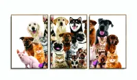 Quadro Decorativo Cães E Gatos Pets Hd 120x60  Quarto Sala com moldura filete - Foto 6