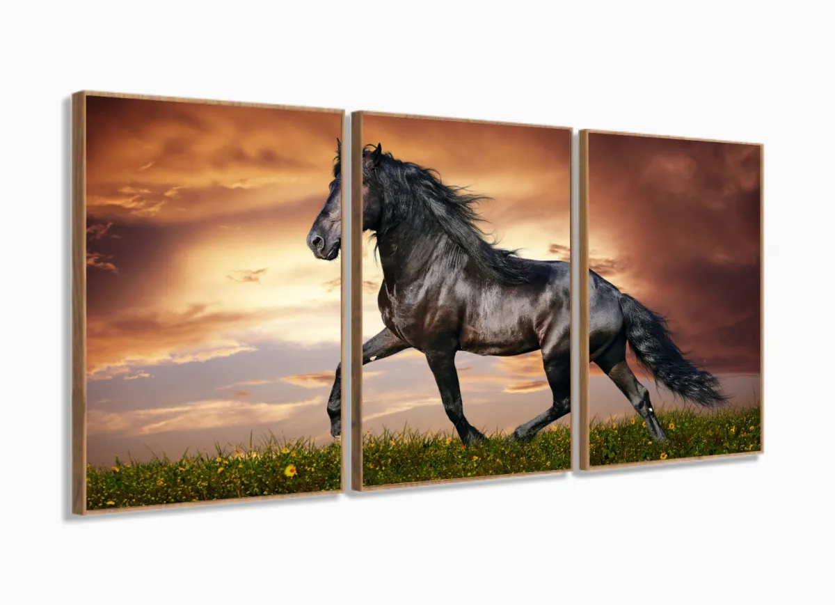 Quadro Decorativo Cavalo Artístico Paisagem Tecido 3 Peças com moldura filete Imagem