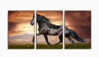 Quadro Decorativo Cavalo Artístico Paisagem Tecido 3 Peças com moldura filete - Foto 6