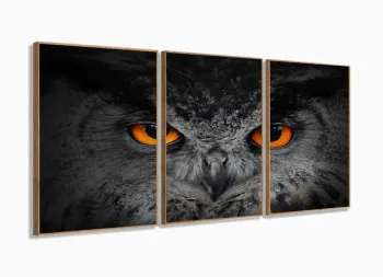 Quadro Decorativo Coruja 3 partes 120x60 em tecido com moldura filete