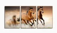 Quadro decorativo Dois Cavalos Marrons com moldura filete - Foto 6