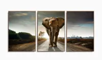 Quadro Decorativo Elefante No Caminho 120x60  Sala Quarto com moldura filete - Foto 6