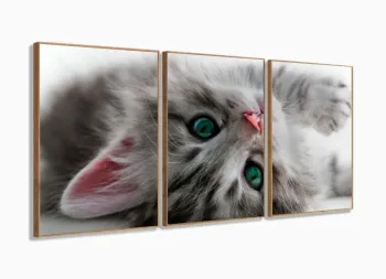 Quadro Decorativo Gato Deitado Olho Azul 120x60 Sala Quarto com moldura filete