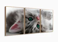 Quadro Decorativo Gato Deitado Olho Azul 120x60 Sala Quarto com moldura filete