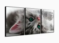 Quadro Decorativo Gato Deitado Olho Azul 120x60 Sala Quarto com moldura filete - Foto 3