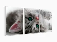 Quadro Decorativo Gato Deitado Olho Azul 120x60 Sala Quarto com moldura filete - Foto 4