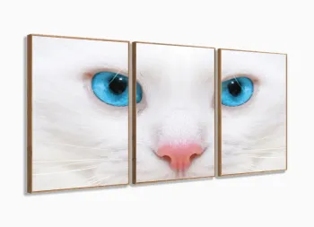 Quadro Decorativo Gato Olho Azul 3 partes 120x60  em tec com moldura filete