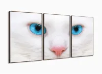 Quadro Decorativo Gato Olho Azul 3 partes 120x60  em tec com moldura filete - Foto 2
