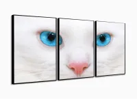 Quadro Decorativo Gato Olho Azul 3 partes 120x60  em tec com moldura filete - Foto 3