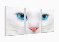 Quadro Decorativo Gato Olho Azul 3 partes 120x60  em tec com moldura filete - Foto 4