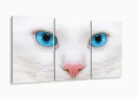 Quadro Decorativo Gato Olho Azul 3 partes 120x60  em tec com moldura filete - Foto 5