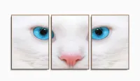 Quadro Decorativo Gato Olho Azul 3 partes 120x60  em tec com moldura filete - Foto 6
