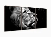 Quadro Decorativo Leao de Juda Olhar 120x60 sala quarto com moldura filete - Foto 2