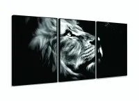 Quadro Decorativo Leao de Juda Olhar 120x60 sala quarto com moldura filete - Foto 3