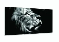 Quadro Decorativo Leao de Juda Olhar 120x60 sala quarto com moldura filete - Foto 5