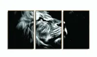 Quadro Decorativo Leao de Juda Olhar 120x60 sala quarto com moldura filete - Foto 6