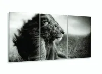 Quadro decorativo Leão Juba Mosaico em Preto e Branco com moldura filete - Foto 5