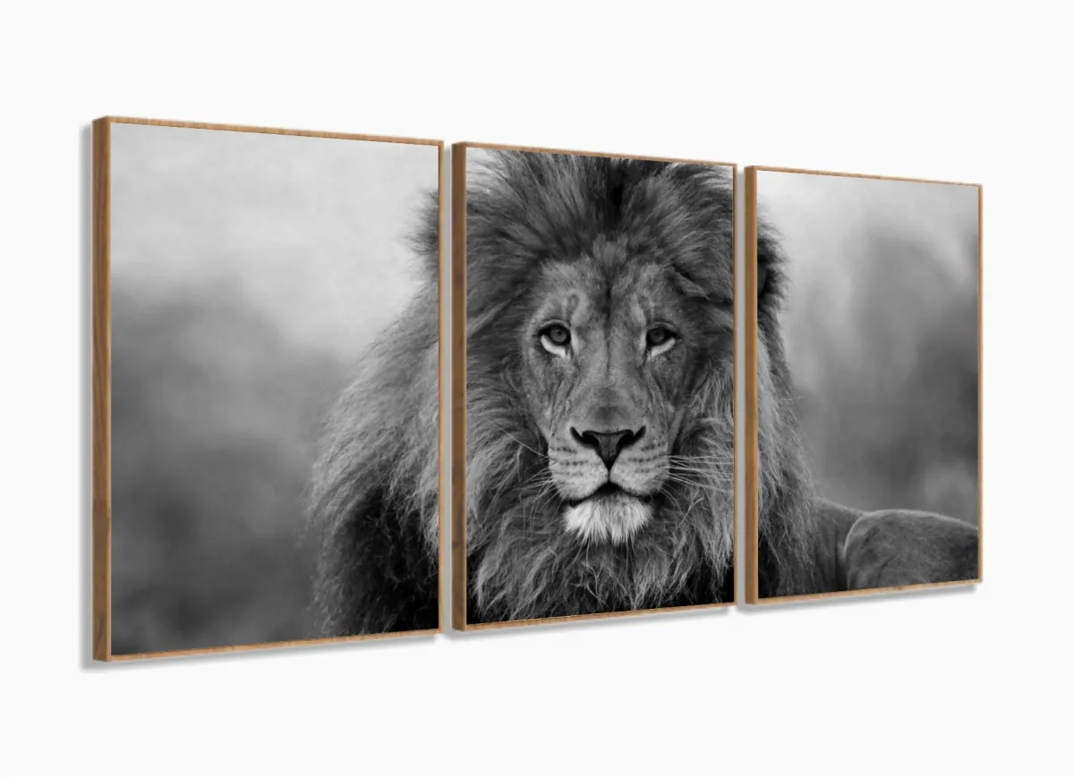 Quadro Decorativo Leão Preto E Branco 120x60  Sala Quarto com moldura filete Imagem