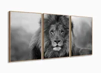 Quadro Decorativo Leão Preto E Branco 120x60  Sala Quarto com moldura filete