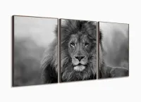 Quadro Decorativo Leão Preto E Branco 120x60  Sala Quarto com moldura filete - Foto 2