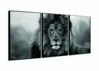 Quadro Decorativo Leão Preto E Branco 120x60  Sala Quarto com moldura filete - Foto 3