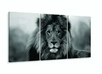 Quadro Decorativo Leão Preto E Branco 120x60  Sala Quarto com moldura filete - Foto 5