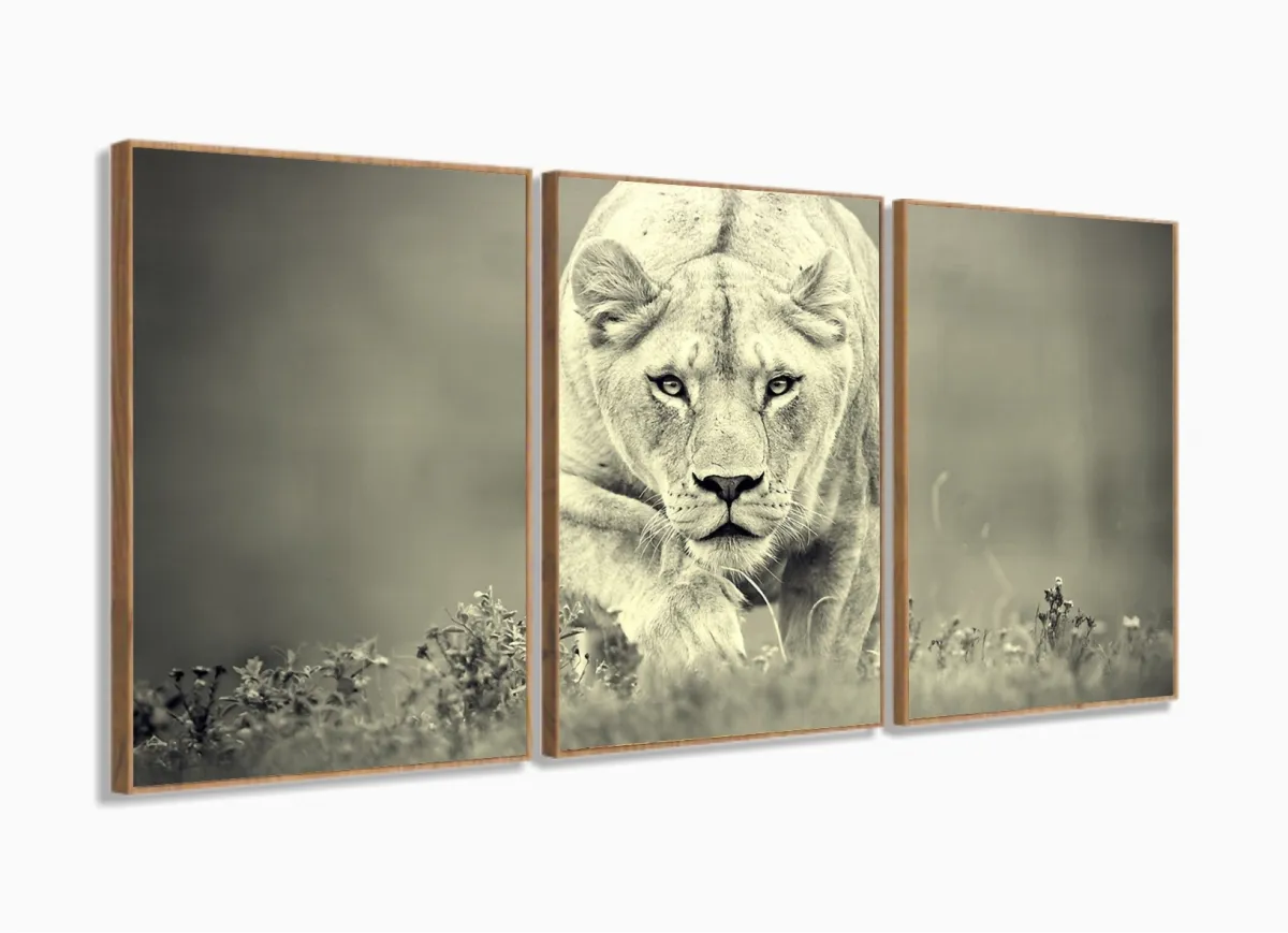 Quadro Decorativo Leoa Preto e Branco 120x60  em tecido com moldura filete Imagem