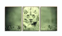 Quadro Decorativo Leoa Preto e Branco 120x60  em tecido com moldura filete - Foto 6