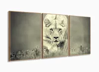 Quadro Decorativo Leoa Sala Em Tecido 3 Peças 120x60 com moldura filete