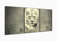 Quadro Decorativo Leoa Sala Em Tecido 3 Peças 120x60 com moldura filete - Foto 2