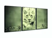 Quadro Decorativo Leoa Sala Em Tecido 3 Peças 120x60 com moldura filete - Foto 3