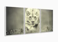 Quadro Decorativo Leoa Sala Em Tecido 3 Peças 120x60 com moldura filete - Foto 4