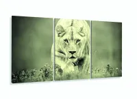 Quadro Decorativo Leoa Sala Em Tecido 3 Peças 120x60 com moldura filete - Foto 5