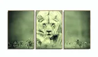 Quadro Decorativo Leoa Sala Em Tecido 3 Peças 120x60 com moldura filete - Foto 6