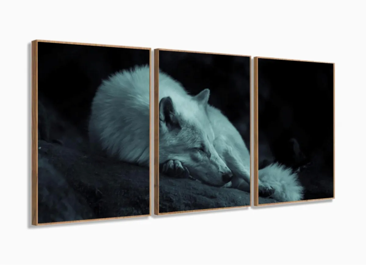 Quadro Decorativo Lobo Deitado 120x60 3 peças com moldura filete Imagem