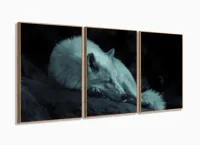 Quadro Decorativo Lobo Deitado 120x60 3 peças com moldura filete