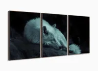 Quadro Decorativo Lobo Deitado 120x60 3 peças com moldura filete - Foto 2