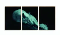 Quadro Decorativo Lobo Deitado 120x60 3 peças com moldura filete - Foto 6
