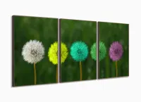 Quadro Decorativo Paisagem Dente de Leão Cores Arte com moldura filete - Foto 2