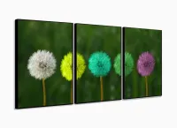 Quadro Decorativo Paisagem Dente de Leão Cores Arte com moldura filete - Foto 3