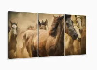 Quadro Decorativo Sala Quarto Cavalos 3 pç 120x60 com moldura filete - Foto 5